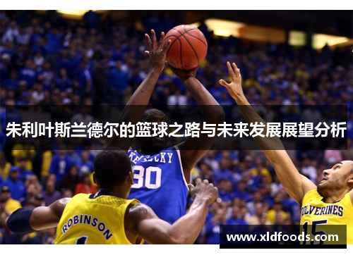 朱利叶斯兰德尔的篮球之路与未来发展展望分析