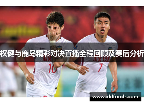 权健与鹿岛精彩对决直播全程回顾及赛后分析