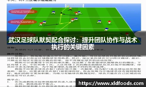 武汉足球队默契配合探讨：提升团队协作与战术执行的关键因素