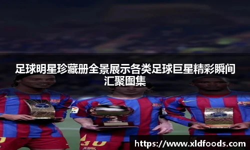 足球明星珍藏册全景展示各类足球巨星精彩瞬间汇聚图集